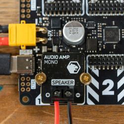 Audio-Verstärkermodul für Yukon (25W Mono Amp)
