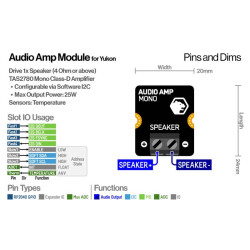 Audio-Verstärkermodul für Yukon (25W Mono Amp)